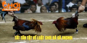 Luật chơi đá gà OKCHOI